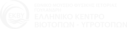 ΕΚΒΥ